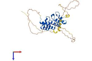 AlphaFold protein structure predicition of Human Recombinant SOWAHD Protein, UniprotID A6NJG2