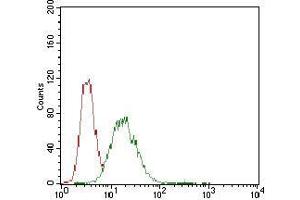 Flow cytometric analysis of Hela cells using CDX2 mouse mAb (green) and negative control (red). (CDX2 antibody  (AA 176-303))