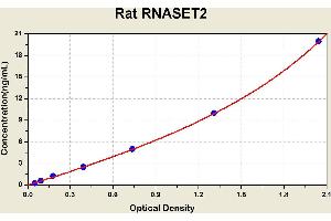 Diagramm of the ELISA kit to detect Rat RNASET2with the optical density on the x-axis and the concentration on the y-axis.