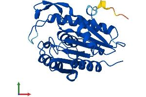 AlphaFold protein structure predicition of Mouse Recombinant Lypla2 Protein, UniprotID Q9WTL7