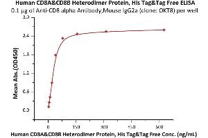 Immobilized Anti-CD8 alpha Antibody, Mouse IgG2a (clone: OKT8) at 1 μg/mL (100 μL/well) can bind Human CD8A&CD8B Heterodimer Protein, His Tag&Tag Free (ABIN6973026) with a linear range of 2-39 ng/mL (Routinely tested). (CD8 Protein (CD8) (AA 22-182) (His tag))