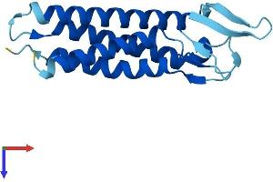EMP3 Protein (AA 1-163) (His tag)