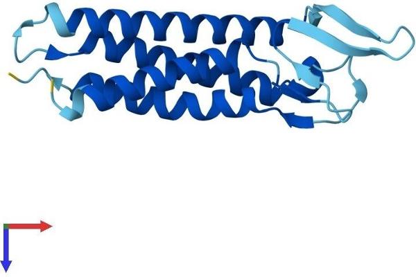 EMP3 Protein (AA 1-163) (His tag)