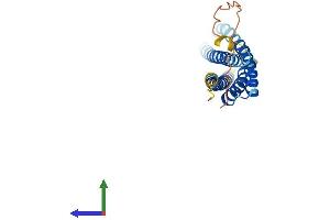AlphaFold protein structure predicition of Mouse Recombinant Ms4a3 Protein, UniprotID Q920C4 (MS4A3 Protein (AA 1-213) (His tag))