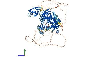 Protein Structure (PS) image for Discs, Large Homolog 1 (DLG1) (AA 1-904) protein (His tag) (ABIN7553721)