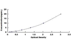 Cathepsin L ELISA Kit