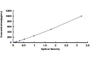 BMP2 ELISA Kit