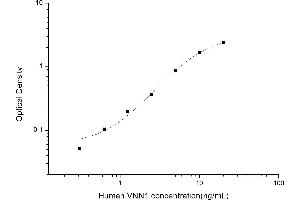 Typical standard curve (VNN1 ELISA Kit)