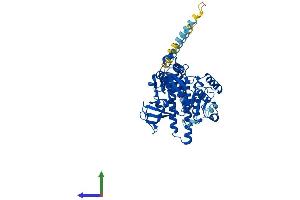AlphaFold protein structure predicition of Mouse Recombinant Fut8 Protein, UniprotID Q9WTS2 (FUT8 Protein (AA 1-575) (His tag))