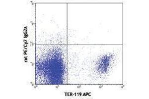 Flow Cytometry (FACS) image for anti-Transferrin Receptor (p90, CD71) (TFRC) antibody (PE-Cy7) (ABIN2659550) (Transferrin Receptor antibody  (PE-Cy7))