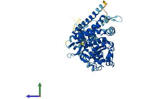 Protein Structure (PS) image for Cytochrome P450, Family 4, Subfamily X, Polypeptide 1 (CYP4X1) (AA 1-509) protein (His tag) (ABIN7546658)