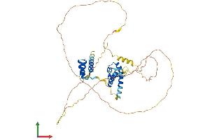 AlphaFold protein structure predicition of Mouse Recombinant Pou4f2 Protein, UniprotID Q63934