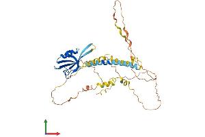 AlphaFold protein structure predicition of Mouse Recombinant Tamalin Protein, UniprotID Q9JJA9