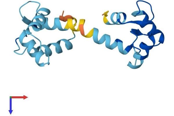 CALML3 Protein (AA 1-149) (His tag)