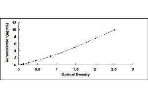 Typical standard curve (CCR7 ELISA Kit)