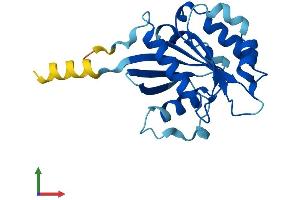 AlphaFold protein structure predicition of Mouse Recombinant Arfrp1 Protein, UniprotID Q8BXL7 (ARFRP1 Protein (AA 1-201) (His tag))