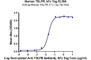 Immobilized Human TSLPR, hFc Tag at 0.