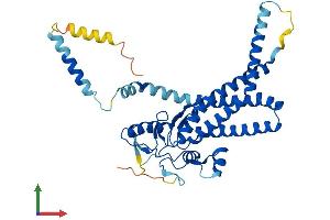 AlphaFold protein structure predicition of Human Recombinant ZDHHC16 Protein, UniprotID Q969W1