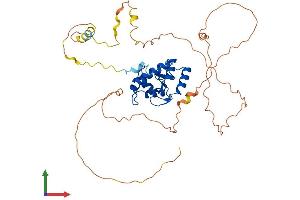 Protein Structure (PS) image for ADP-Ribosylation Factor GTPase Activating Protein 1 (ARFGAP1) (AA 1-406) protein (His tag) (ABIN7552265)