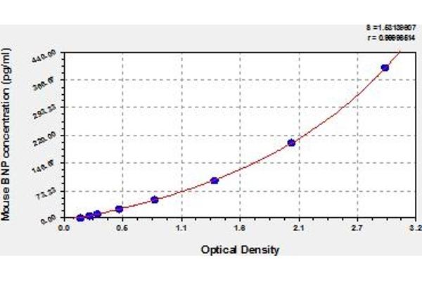 NPPB ELISA Kit