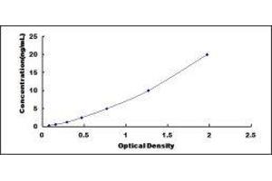 Aryl Hydrocarbon Receptor (AHR) ELISA Kit
