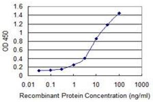 Detection limit for recombinant GST tagged DPP3 is 0. (DPP3 antibody  (AA 1-737))