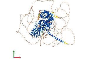Protein Structure (PS) image for Myotubularin Related Protein 3 (MTMR3) (AA 1-1196) protein (His tag) (ABIN7564629)
