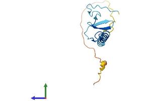 AlphaFold protein structure predicition of Human Recombinant LIMS3 Protein, UniprotID P0CW19