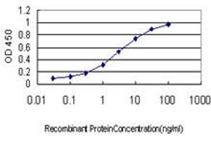 Detection limit for recombinant GST tagged OCLN is approximately 0. (Occludin antibody  (AA 423-522))