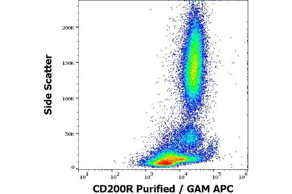 CD200R1 antibody
