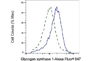 Validation of Glycogen synthase 1 knockdown using flow cytometry.