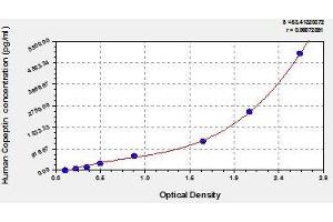 Typical standard curve (Copeptin ELISA Kit)