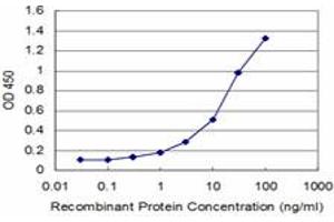 Detection limit for recombinant GST tagged SNAI1 is approximately 0. (SNAIL antibody  (AA 121-230))