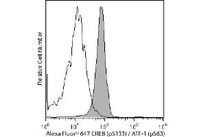 Flow Cytometry (FACS) image for anti-cAMP Responsive Element Binding Protein 1 (CREB1) (pSer133) antibody (Alexa Fluor 647) (ABIN1177048) (CREB1 antibody  (pSer133) (Alexa Fluor 647))