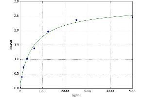 Solute Carrier Family 30 (Zinc Transporter), Member 3 (Slc30a3) ELISA Kit