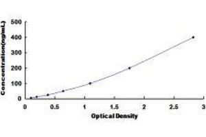 Insulin-Like Growth Factor Binding Protein 5 (IGFBP5) ELISA Kit