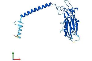 AlphaFold protein structure predicition of Mouse Recombinant Atp1b3 Protein, UniprotID P97370 (ATP1B3 Protein (AA 1-278) (His tag))