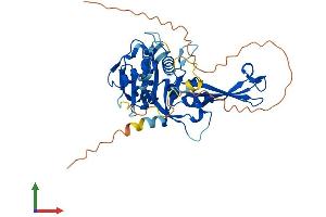 Protein Structure (PS) image for Ubiquitin Specific Peptidase 17-Like Family Member 6 (USP17L6P) (AA 1-398) protein (His tag) (ABIN7544942)