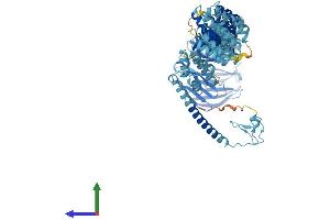 AlphaFold protein structure predicition of Mouse Recombinant Tgfbrap1 Protein, UniprotID Q3UR70 (TGFBRAP1 Protein (AA 1-860) (His tag))