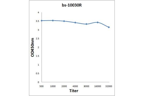 LEO1 antibody  (AA 451-550)