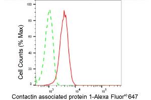 Flow cytometric analysis of Contactin associated protein 1 expression in HepG2 cells using Contactin associated protein 1 antibody (ABIN7798148), 1:2,000). (Recombinant CNTNAP1 antibody)