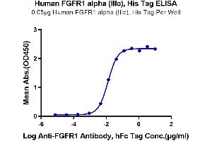 ELISA image for Fibroblast Growth Factor Receptor 1 (FGFR1) (AA 22-374) protein (His-Avi Tag) (ABIN7274633)