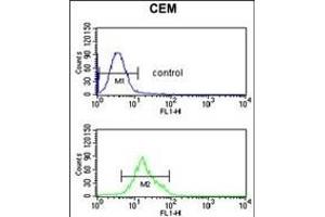 TCHP Antibody (Center) (ABIN653303 and ABIN2842803) flow cytometric analysis of CEM cells (bottom histogram) compared to a negative control cell (top histogram). (TCHP antibody  (AA 291-320))