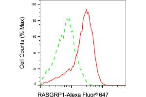 anti-RAS Guanyl Releasing Protein 1 (Calcium and DAG-Regulated) (RASGRP1) antibody