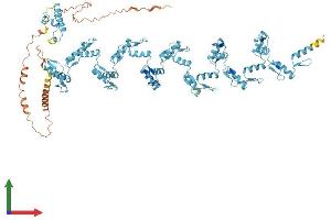 AlphaFold protein structure predicition of Human Recombinant ZNF546 Protein, UniprotID Q86UE3