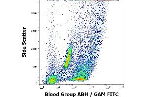 Flow cytometry surface staining pattern of human peripheral whole blood from group A donor stained using anti-blood group ABH (HE-10) antibody (culture supernatant, GAM FITC). (Blood Group ABH antibody)
