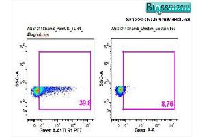 Flow Cytometry (FACS) image for anti-Toll-Like Receptor 1 (TLR1) (AA 101-200) antibody (ABIN736373)