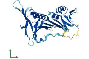 AlphaFold protein structure predicition of Human Recombinant HUS1 Protein, UniprotID O60921