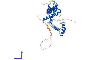AlphaFold protein structure predicition of Mouse Recombinant Six1 Protein, UniprotID Q62231 (SIX Homeobox 1 Protein (SIX1) (AA 1-284) (His tag))
