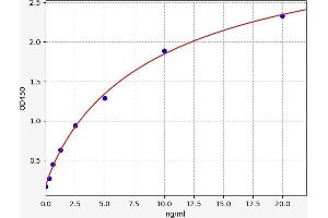 Typical standard curve (BLVRB ELISA Kit)